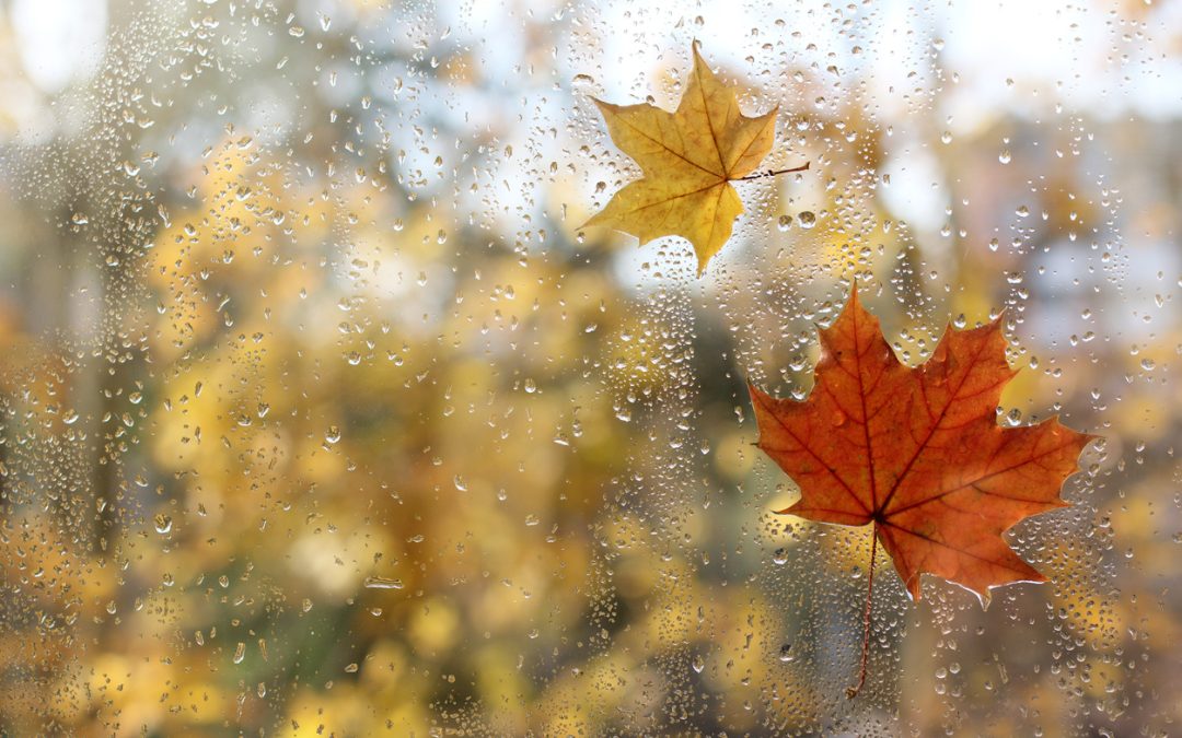 Preparing Your Home for Fall Weather: Essential Tips for OKC Homeowners